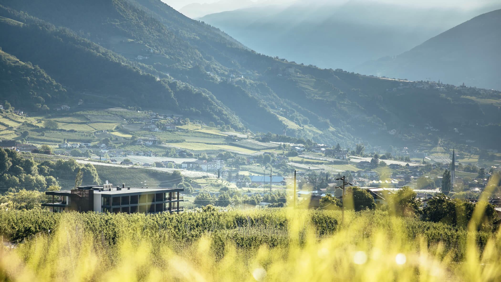 Hotel boutique  - Forsterhof