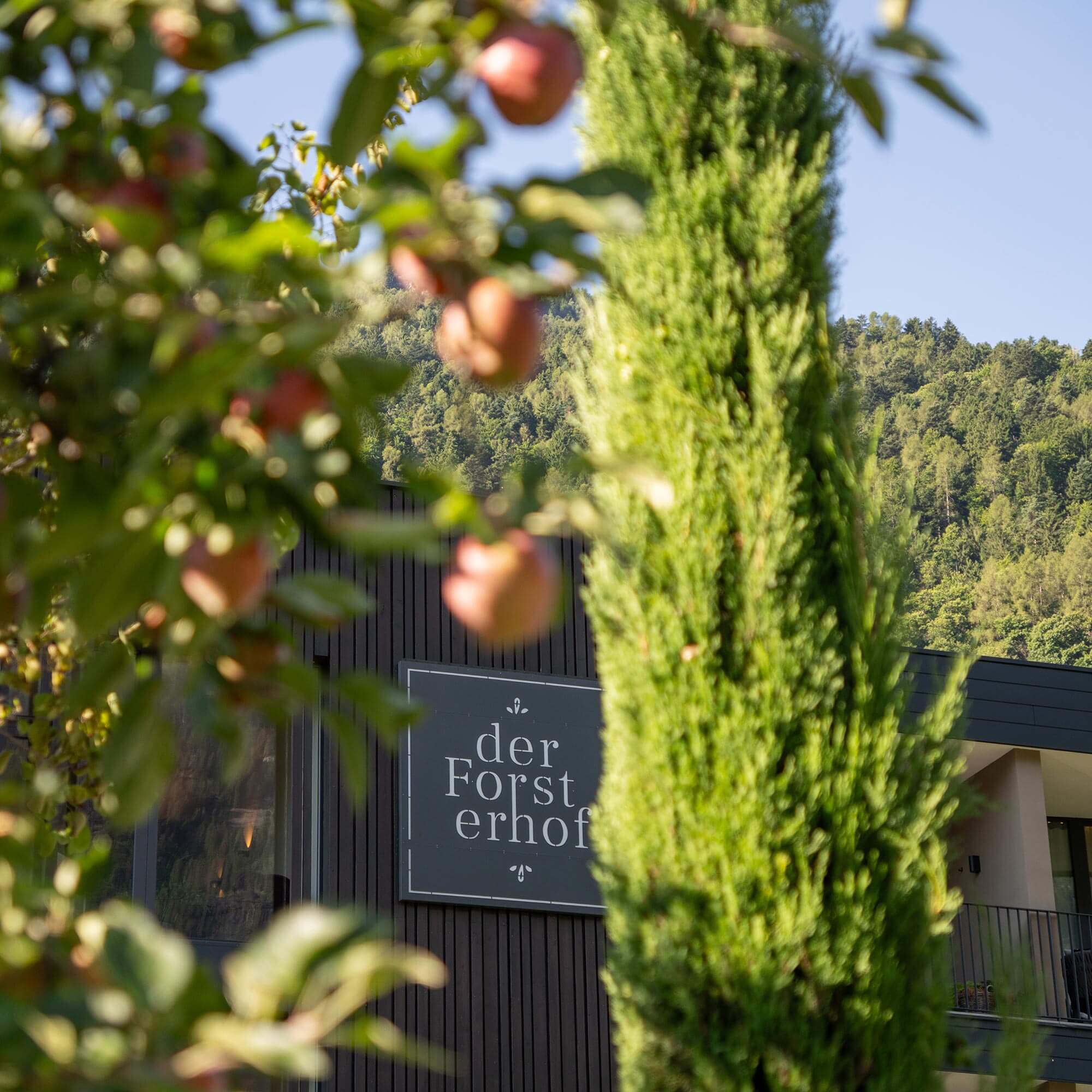 Boutique Garni Hotel Der Forsterhof 