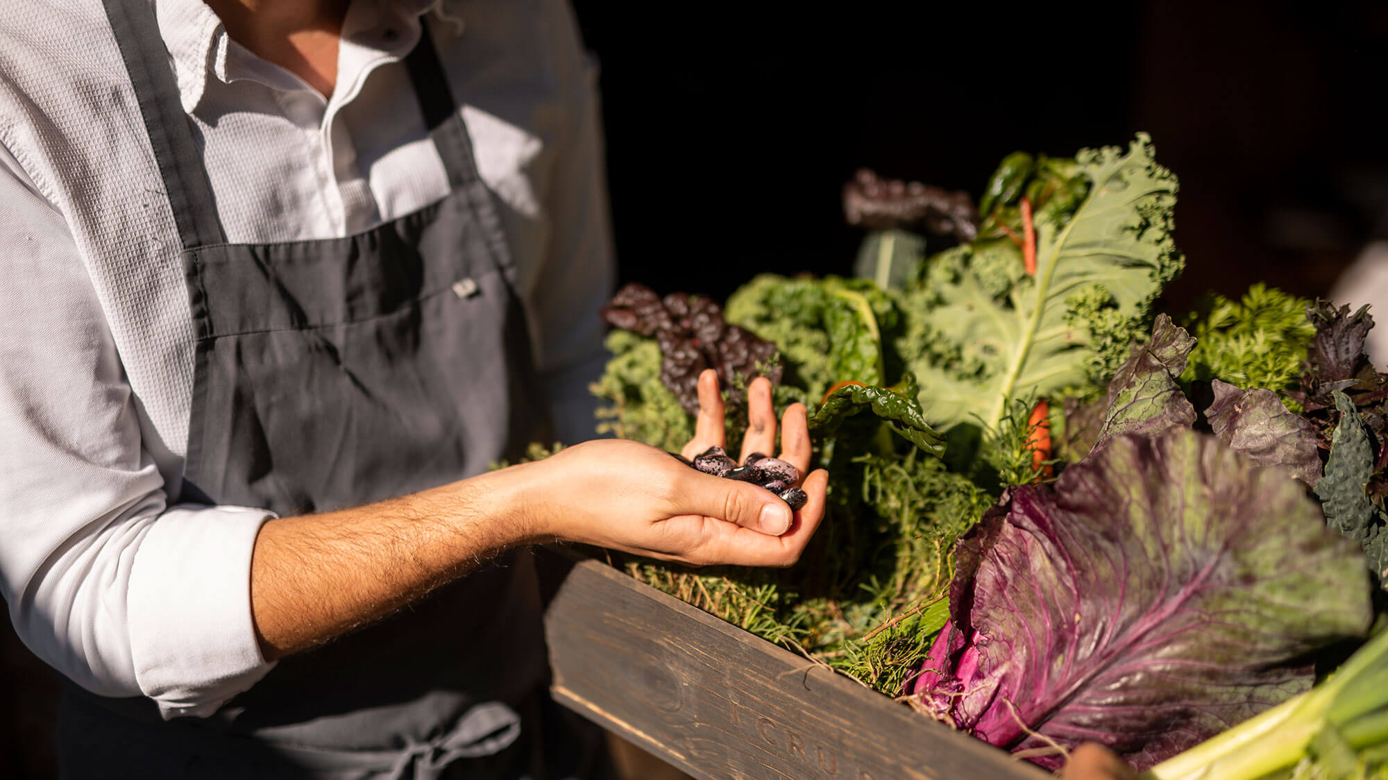 Agriculture - Forsterhof
